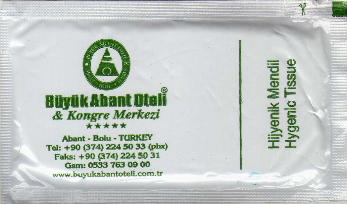 0387 Büyük Abant Oteli - Bolu